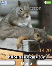   Sony Ericsson 240x320 - Please A Massage
