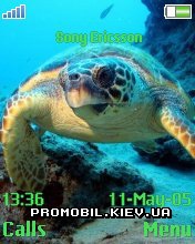   Sony Ericsson 176x220 - Sea Turtle