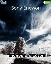   Sony Ericsson 240x320 - Winter Road