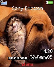   Sony Ericsson 240x320 - Cat And Dog