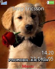   Sony Ericsson 240x320 - Charming Dogs
