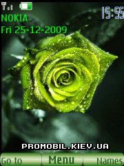   Nokia Series 40 - Green rose