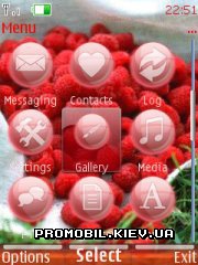   Nokia Series 40 - Raspberry