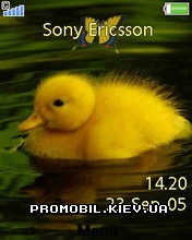   Sony Ericsson 240x320 - Duck