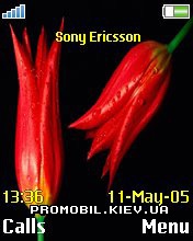   Sony Ericsson 176x220 - Mehdi