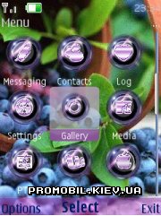   Nokia Series 40 - Bilberry