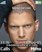   Sony Ericsson 176x220 - Wentworth Miller