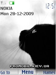   Nokia Series 40 - Black cat