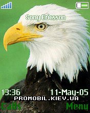   Sony Ericsson 176x220 - Bald Eagle