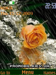   Nokia Series 40 - Eellow roses