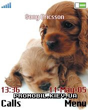   Sony Ericsson 176x220 - Puppies