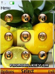   Nokia Series 40 - Lemon