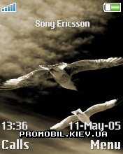   Sony Ericsson 176x220 - Freedom