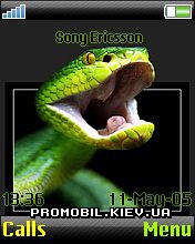   Sony Ericsson 176x220 - Snake