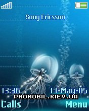   Sony Ericsson 176x220 - Undervater