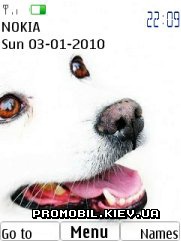   Nokia Series 40 - White dog