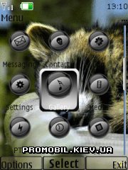   Nokia Series 40 - Raccoon