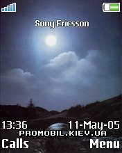   Sony Ericsson 176x220 - Dark woods