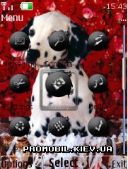   Nokia Series 40 - Dalmatian