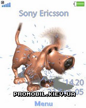   Sony Ericsson 240x320 - Wet Dog