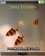   Sony Ericsson 240x320 - Tiger Fishes