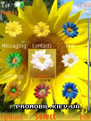  Sunflowers  Nokia Series 40
