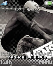  Vans Skate  Sony Ericsson 176x220 