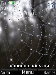   Nokia Series 40 - Spiders web