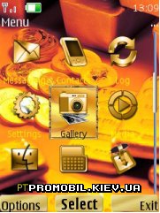  Gold  Nokia Series 40 