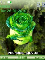    Nokia Series 40 - Green rose