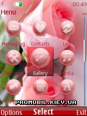     Nokia Series 40 - Pink rose