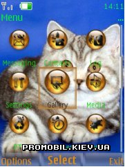     Nokia Series 40 - Cat