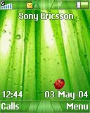 Зеленая тема для Sony Ericsson 128x160 - Lady bug