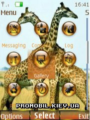   Nokia Series 40 - Giraffe