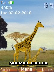   Nokia Series 40 - Giraffe