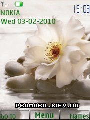   Nokia Series 40 - White flower