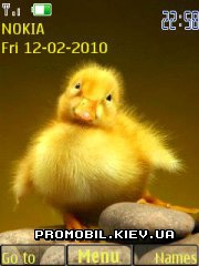   Nokia Series 40 - Duckling