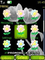   Nokia Series 40 - Clock and flowers