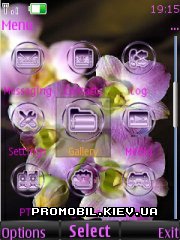   Nokia Series 40 - Orchid