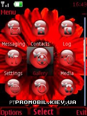   Nokia Series 40 - Red flowers