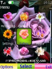   Nokia Series 40 - Colors flower