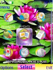   Nokia Series 40 - Flowers colors