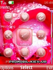   Nokia Series 40 - Rose