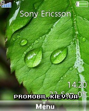   Sony Ericsson 240x320 - Green Leaf