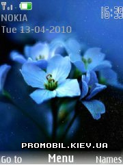   Nokia Series 40 - Blue flowers