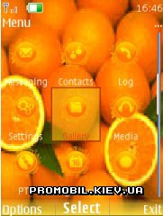   Nokia Series 40 - Fruit orange