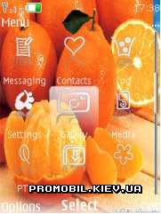   Nokia Series 40 - Orange
