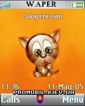   Sony Ericsson 176x220 - Cute Cat