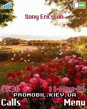 Тема для Sony Ericsson 176x220 - Field Flowers