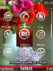   Nokia Series 40 - Bouquet